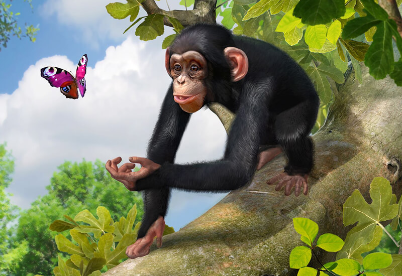 Zoo Tycoon Xbox One CD Key, Key - cdkeys.com